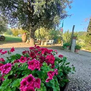 azienda-agricola-polveraia.it-tuscanyhotel.com/